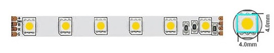 Striscia LED 14,4W/m 1200lm luce fredda 6500K  12V IP20 5m Vito EL1558 Vito