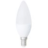 Lampadina LED C38 9W E14 828lm luce fredda 6400k EL2167 Vito