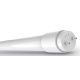 Tubo LED T8 G13 24W 150cm - Luce fredda 5261 Shanyao